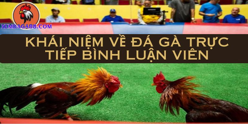 đá gà trực tiếp bình luận viên