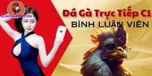 đá gà trực tiếp bình luận viên