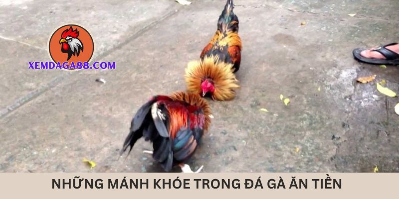 da-ga-an-tien-manh-khoe-o-dau