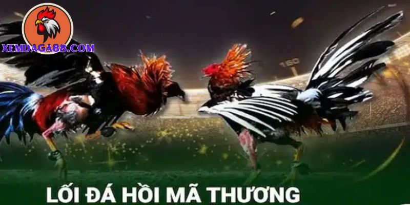 đá hồi mã thương