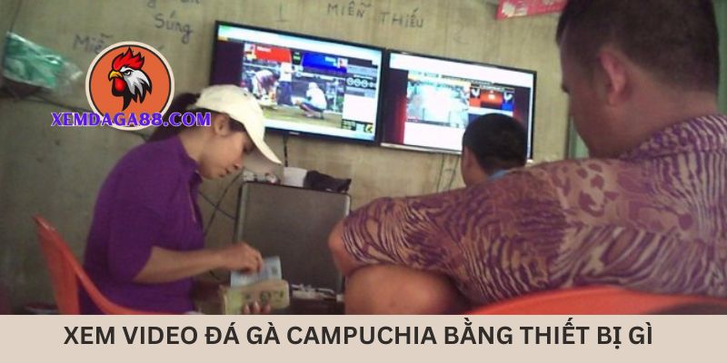 xem-video-da-ga-campuchia-thiet-bi-gi